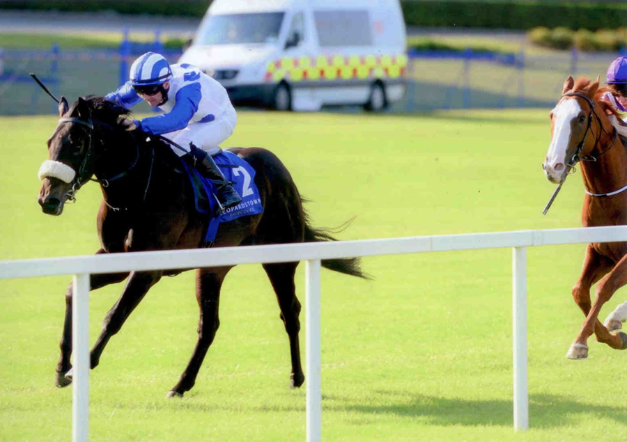 EXOGENESIS - winning at Leopardstown 4th July 2013
